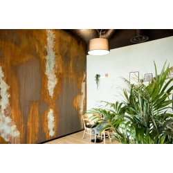 Rusty Kan ses p Caf Kaiser Hillerd 